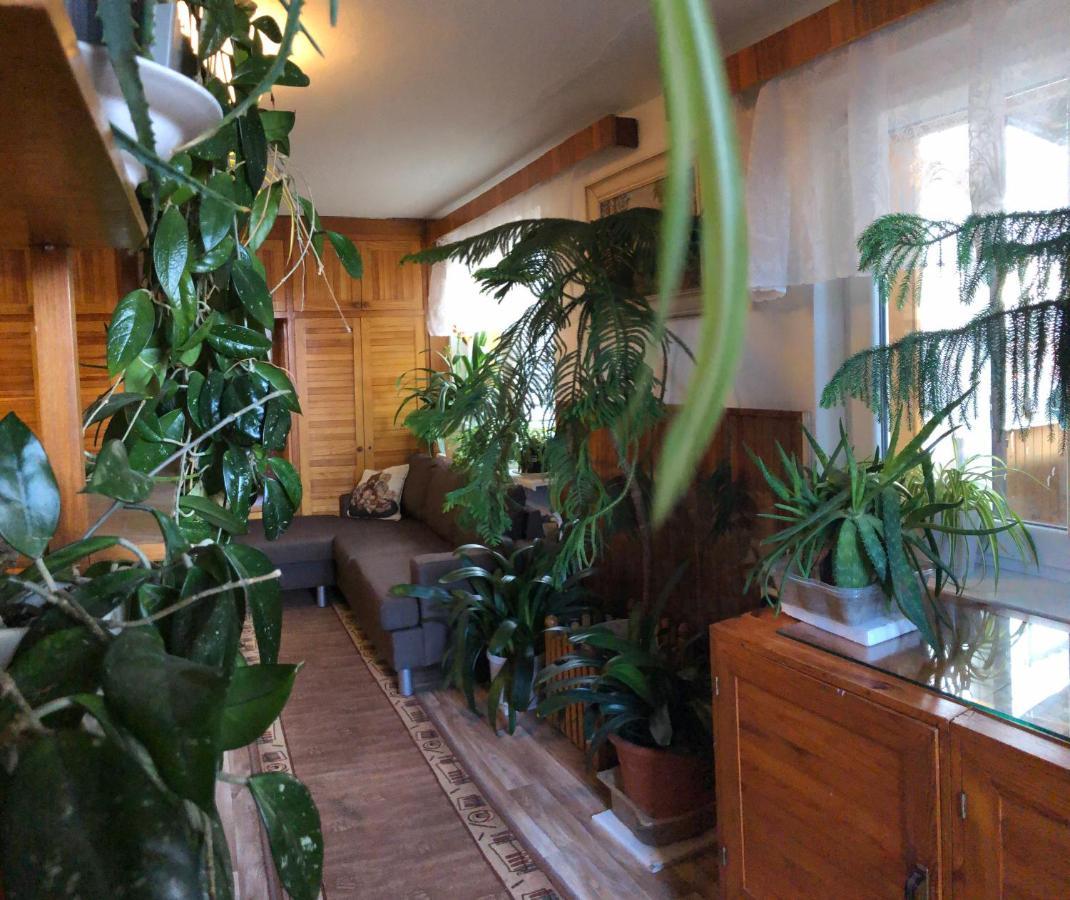 شقة Apartman Olesnik المظهر الخارجي الصورة